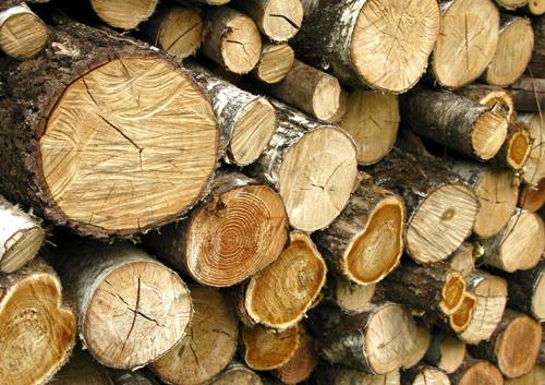 Acheter du bois de chauffage pour poêle à bois dans le Médoc