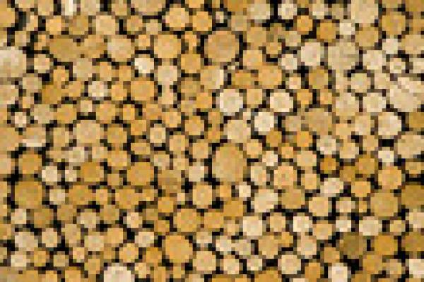 Obtenir du bois de chauffage livré rapidement à votre domicile dans le médoc