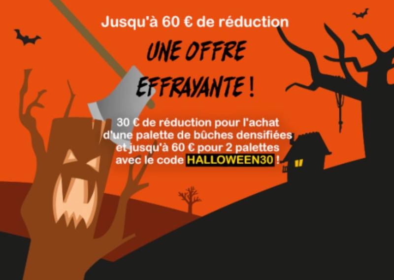 Du combustible bois à prix réduit en saison hivernale avec livraison à domicile chez vous au Taillan-Médoc ou en Gironde