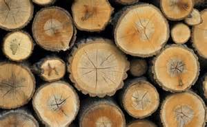 BOIS DE CHAUFFAGE 0,50 cm en livraison ou enlèvement sur site